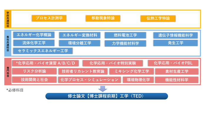 エネルギー化学教育分野（TED）