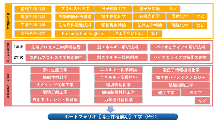 化学応用・バイオ教育分野（PED）