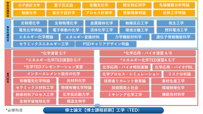 化学応用・バイオ教育分野（TED）